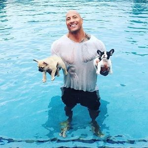 Meet your Posher, Joel bryan